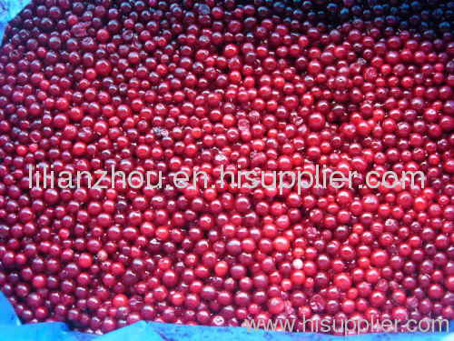 IQF Frozen Lingonberry Wild supplier