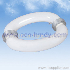 Induction lamp-Oval Induction Lamps(40W-300W)