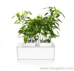 Hot selling flowerpot 2012 grow light hydroponic wholesale mini smart garden