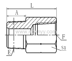 5T-SP BSPT MALE/BSPT FEMALE HYDRAULIC ADAPTORS PIPE FITTINGS COUPLING CONNECTER