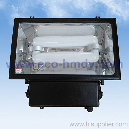 Induction Light &gt;&gt; Flood light