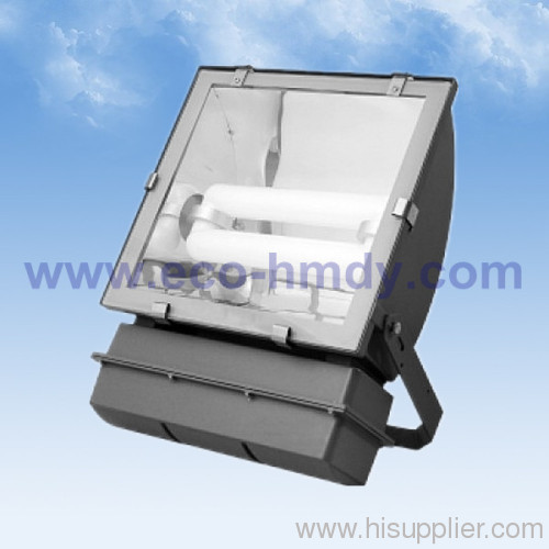 Induction Light &gt;&gt; Flood light