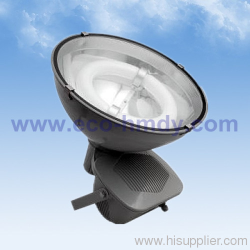 Induction Light &gt;&gt; Flood light