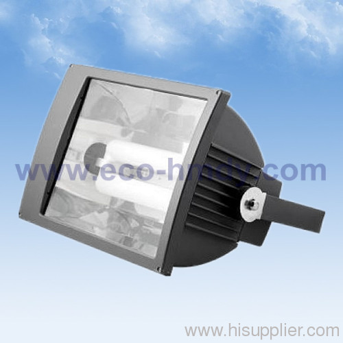 Induction Light &gt;&gt; Flood light