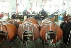 TIANLONGBAO GROUP CO.,LTD