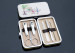 Professinal Manicure set supplier