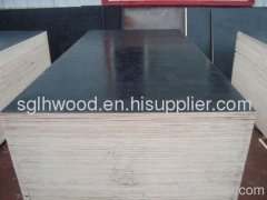 Chinese Film faced plywood & marine plywood