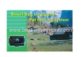 Smart in-ground Electronic dog fenceing systemW-227 for 1 dog