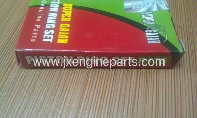 Diesel engine R175A.S1110PISTON RING SET 