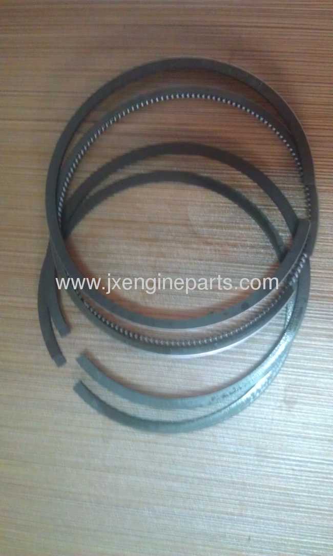 Diesel engine R175A.S1110PISTON RING SET 