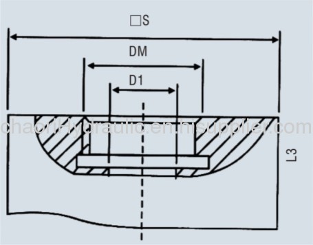 Q#INS series ball check valve