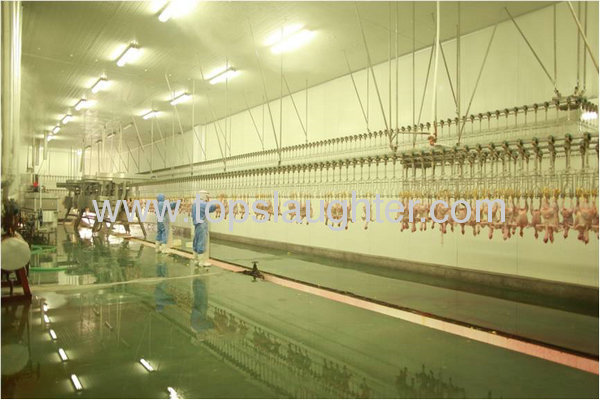 Poultry Processing Equipment Chicken Plucker