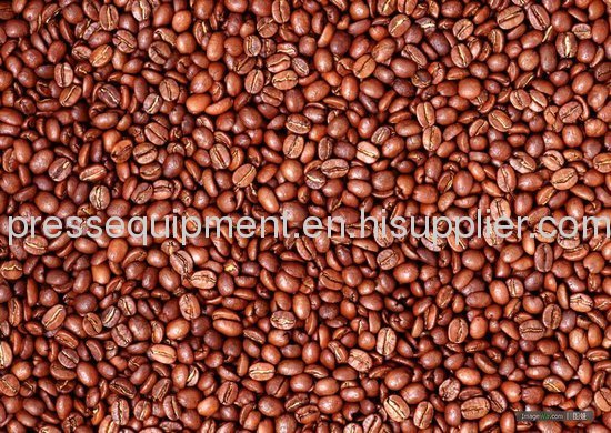 commercial LPG coffee bean roaster