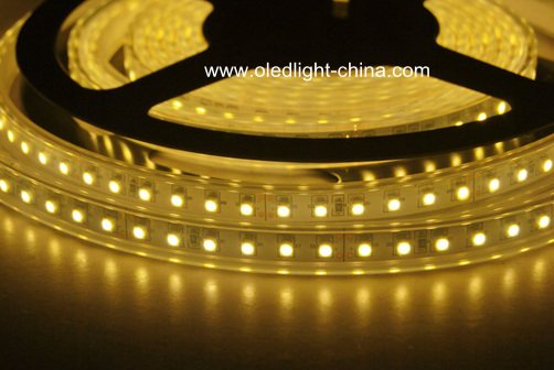 IP65 outdoor waterproof DC24V 9.6W high brightness SMD3528 120 LED strip light ribbon