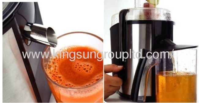 fruit and vegetable juicer