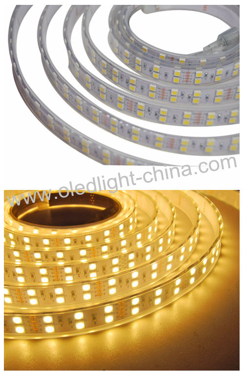IP65 outdoor waterproof Warm White DC24V 120 LED per meter Double Line SMD5050 LED strip light ribbon