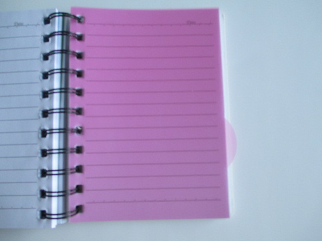 A6 bound spiral notebook