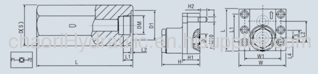 plste type check valve