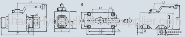 thread connection high pressure check valve