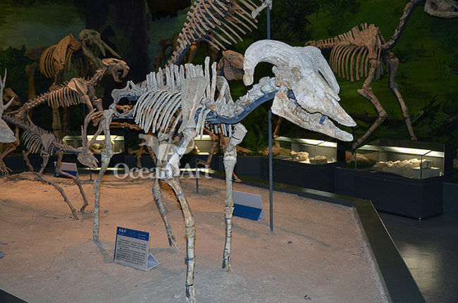Artificial skeleton animal show