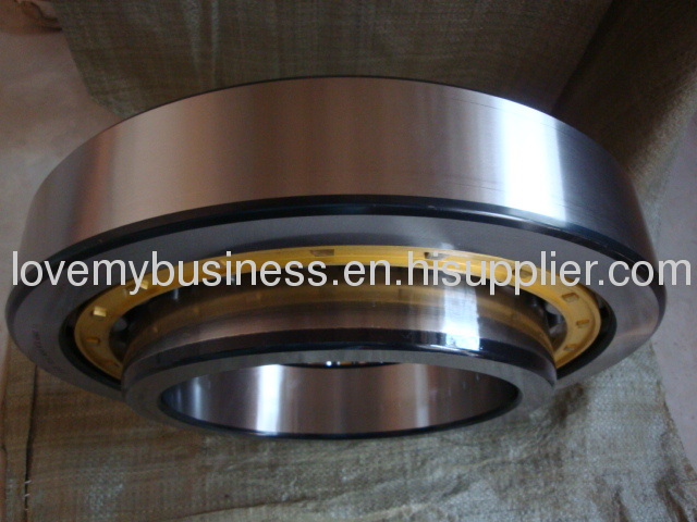 Cylindrical roller bearing NU305