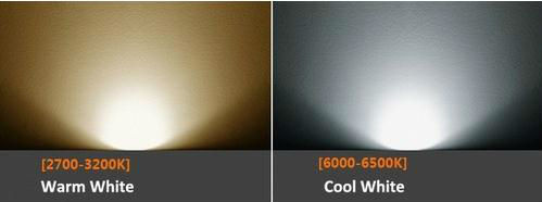 10W LED Flood light 85V-265V Warm White Cool White Red Green Blue Waterproof Spotlight Projection lamp