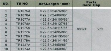 Screw-on Repair Tubeless Valves