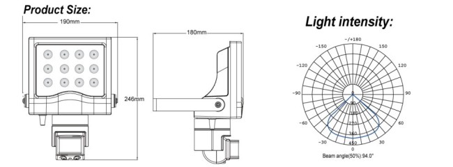 Infrared Sensor LED Floodlight