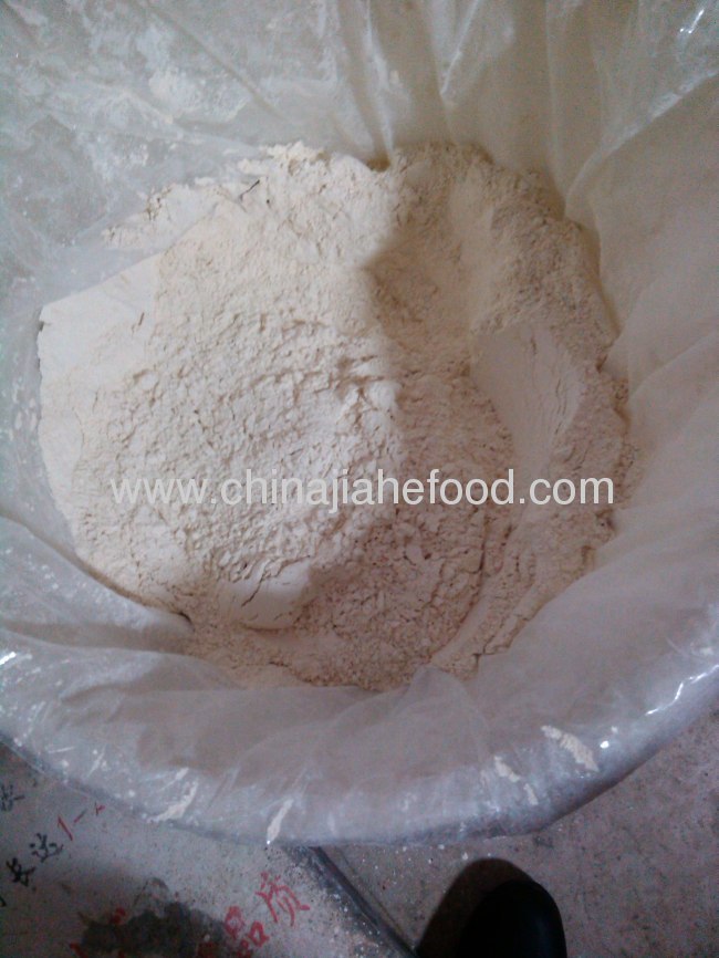 pungent food ingredient seasoning ingredient garlic powder