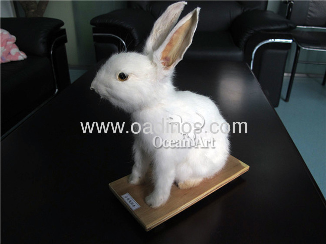 Life Size Cute Animatronic Rabbit