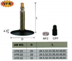 Bicycle & Motorcycle Tube Valves 