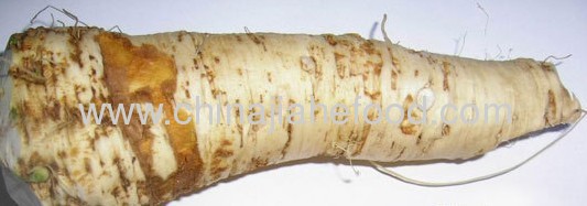 air dried sharp taste horseradish powder