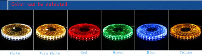 chasing 5050 SMD RGB 600 LED tape light ribbon double rows 