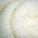 polyester dyed chenille for home textile or garment