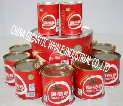 CHINA GIGANTIC WHALE INDUSTRIAL CO., LTD