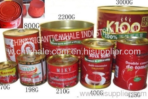xinjiang tomato paste canned