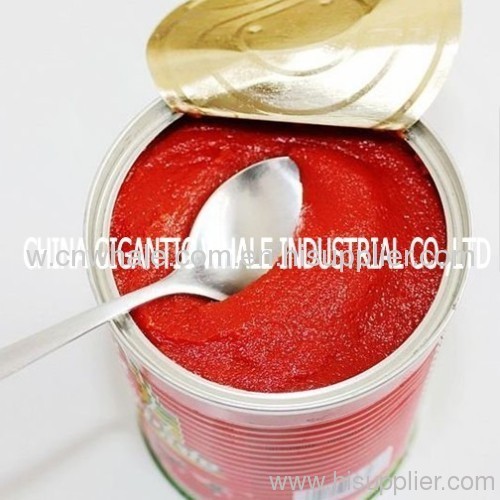 xinjiang tomato puree canned