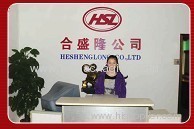 SHENZHEN HESHENGLONG PLASTIC PRODUCT CO., LTD.