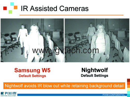 Pixim Nightwolf DPS Security Dome Camera