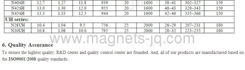 Rare Earth Abnormal Magnets/Special Shape Magnet