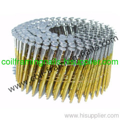 Coil nails with hot dip galvanized