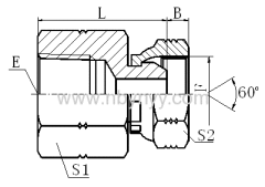 FEMALE 60°CONE HYDRAULIC ADAPTERS PIPE FITTINGS HOSE COUPLING CONNECTORS