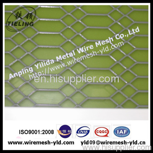 hot-dipped galvanized gothic mesh