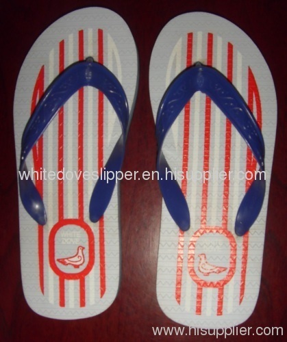 "whitedove" plastic slipper 811L+ white_doveplastic slipper 811L 6