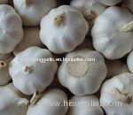 natural and normal garlic