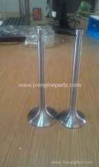 Diesel engine R175A.S1110 ENGINE VALVE