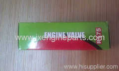 Diesel engine R175A.S1110 ENGINE VALVE