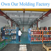 Own our molding factory