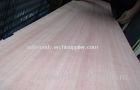 Red Quarter Cut Okoume Veneer Without Figured Quarter And Crown