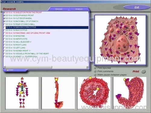 3D-NLS Nonlinear body health analysis system